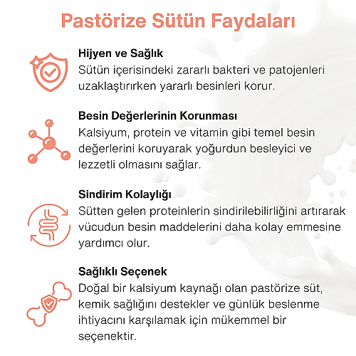 Pasteur Yogurt Maker for Raw Milk - 5